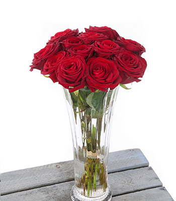 Premium Rose Vase