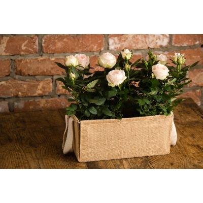 Jute Rose Planter