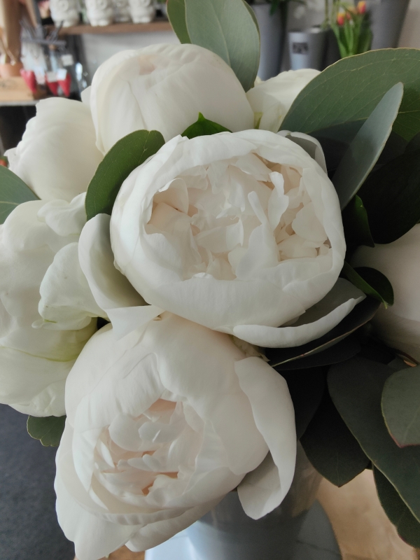 Peony Hand tied bridal bouquet