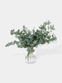 Hand tied Eucalyptus Bunch