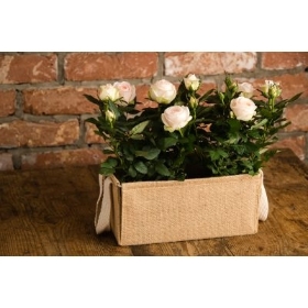 Jute Rose Planter