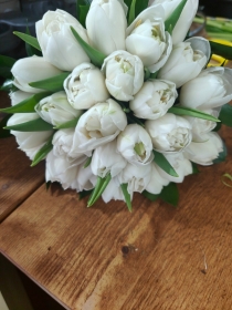 Tulip Hand tied