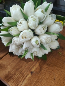 Tulip Hand tied