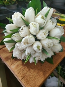 Tulip Hand tied